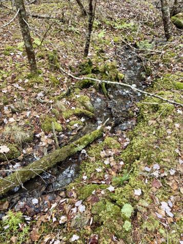 L1 Lively Brook Acres Whiting ME 04691