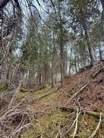 L1 Lively Brook Acres Whiting ME 04691