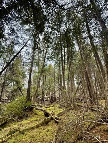 L1 Lively Brook Acres Whiting ME 04691