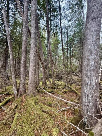 L1 Lively Brook Acres Whiting ME 04691