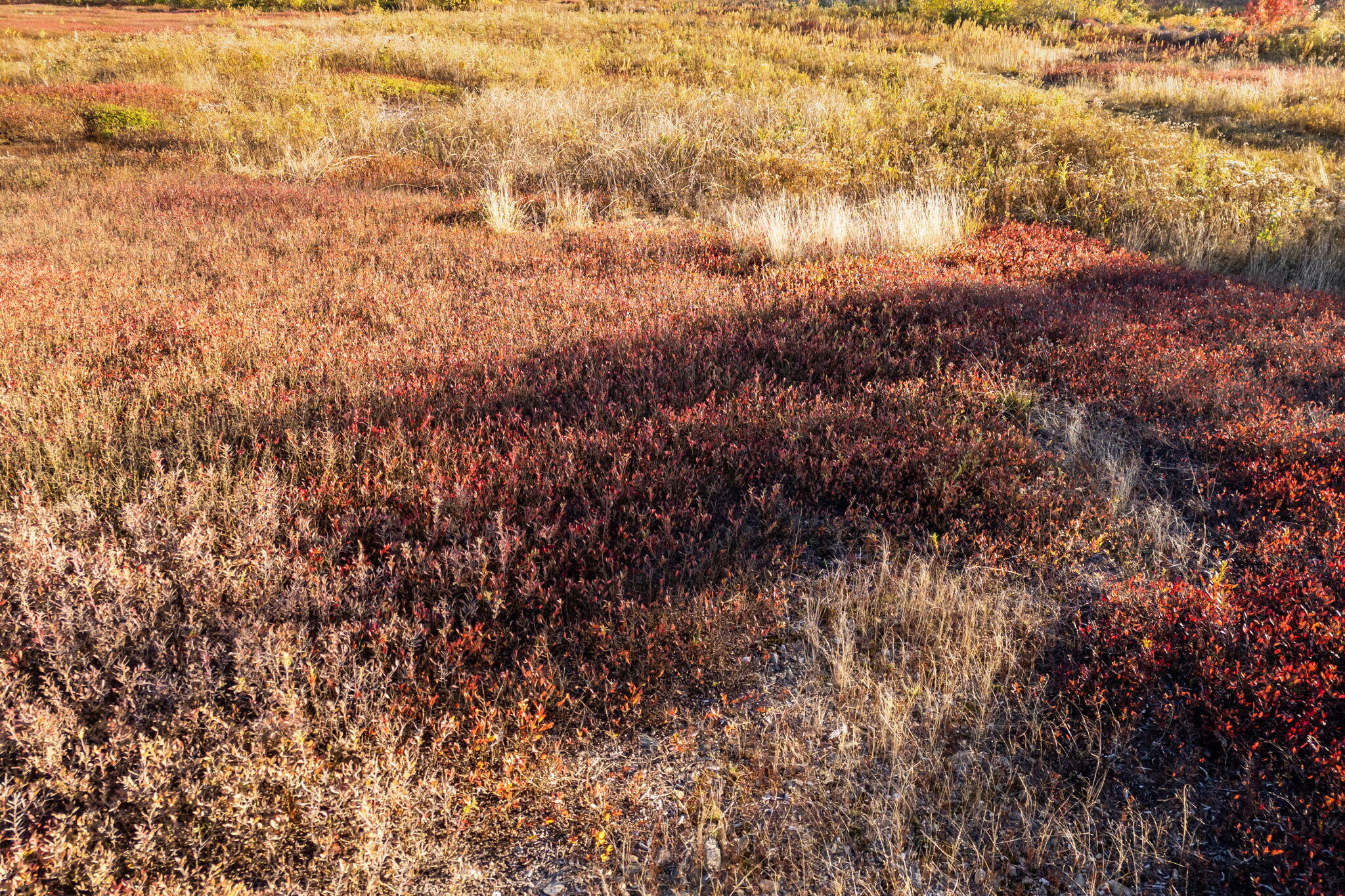 Lot #15 Razorville Road Washington ME 04574