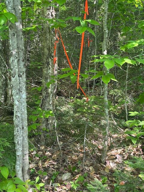 Lot 2 Scammon Road Greenville ME 04441