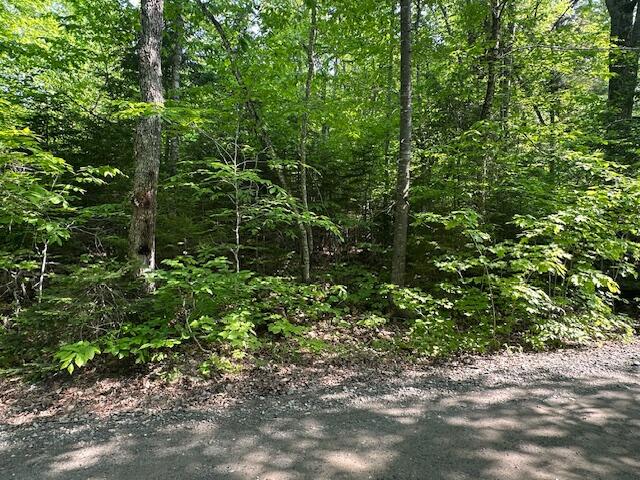 Lot 2 Scammon Road Greenville ME 04441