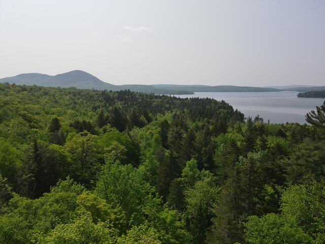 Lot 2 Scammon Road Greenville ME 04441