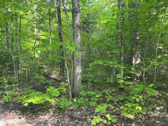 Lot 2 Scammon Road Greenville ME 04441