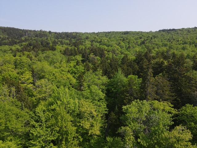 Lot 2 Scammon Road Greenville ME 04441