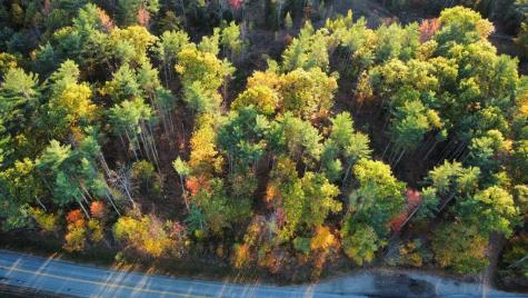 Lot 16 (1) Whittier Road Farmington ME 04938