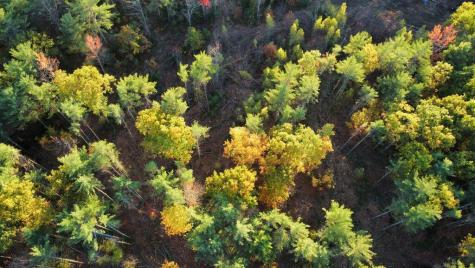 Lot 16 (1) Whittier Road Farmington ME 04938