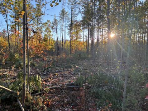 Lot 16 (1) Whittier Road Farmington ME 04938