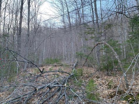 M29, L44.4 Reeds Mill Road Madrid Twp ME 04966