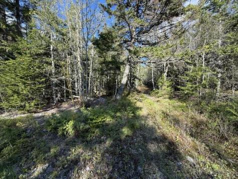 Lot 13 Pidgeon Point Road Whiting ME 04691