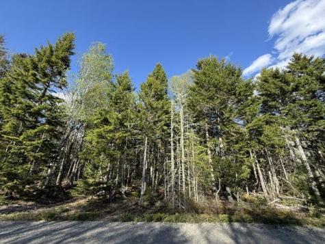 Lot 13 Pidgeon Point Road Whiting ME 04691
