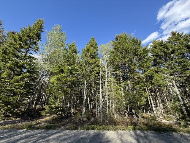 Lot 13 Pidgeon Point Road Whiting ME 04691