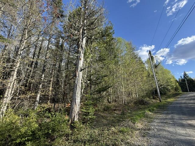 Lot 13 Pidgeon Point Road Whiting ME 04691