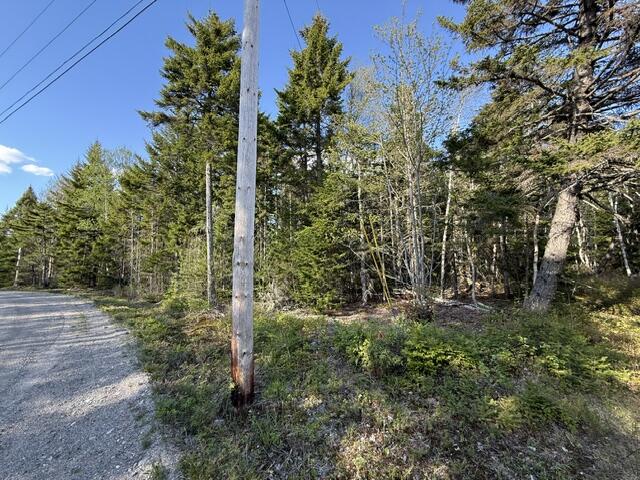 Lot 13 Pidgeon Point Road Whiting ME 04691