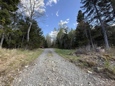 Lot 13 Pidgeon Point Road Whiting ME 04691