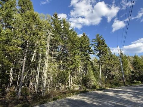Lot 13 Pidgeon Point Road Whiting ME 04691