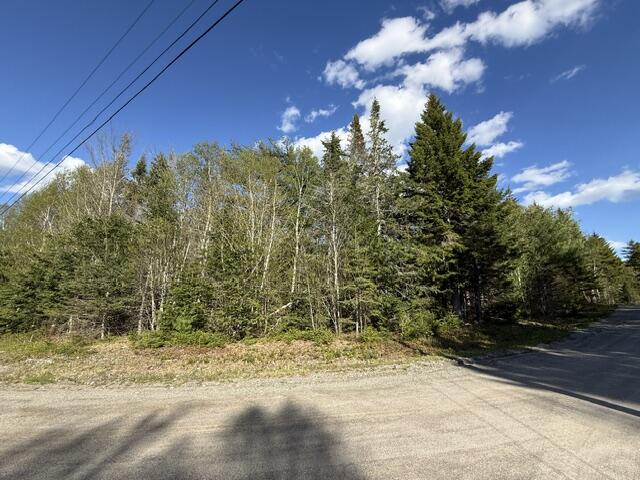 Lot 13 Pidgeon Point Road Whiting ME 04691