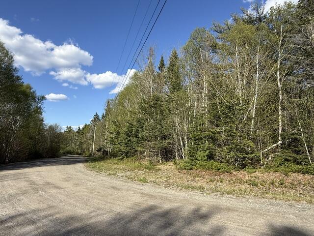 Lot 13 Pidgeon Point Road Whiting ME 04691