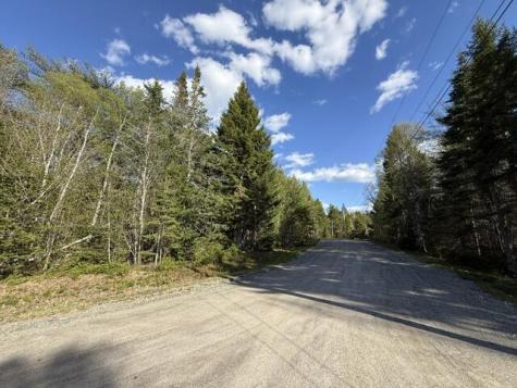 Lot 13 Pidgeon Point Road Whiting ME 04691
