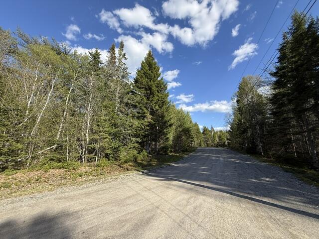 Lot 13 Pidgeon Point Road Whiting ME 04691
