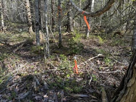 Lot 13 Pidgeon Point Road Whiting ME 04691