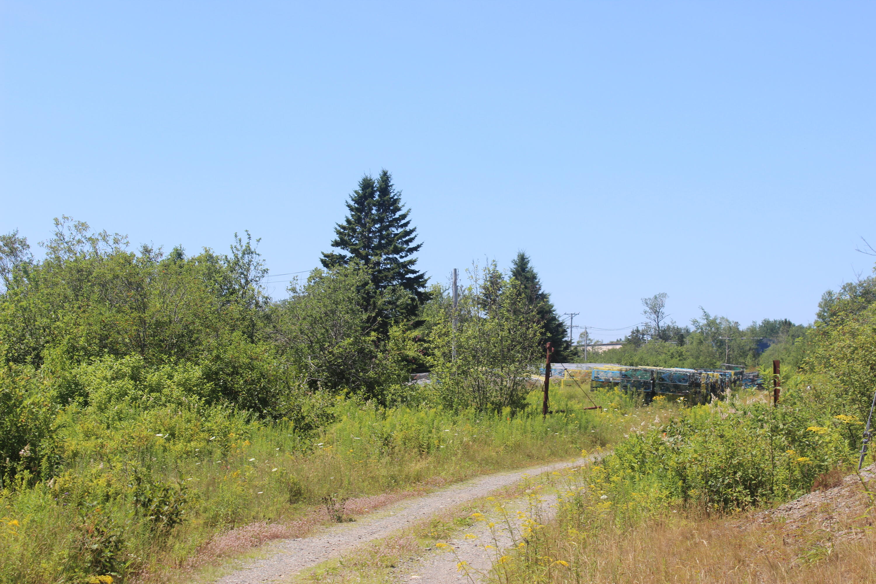 187 County Road Eastport ME 04631