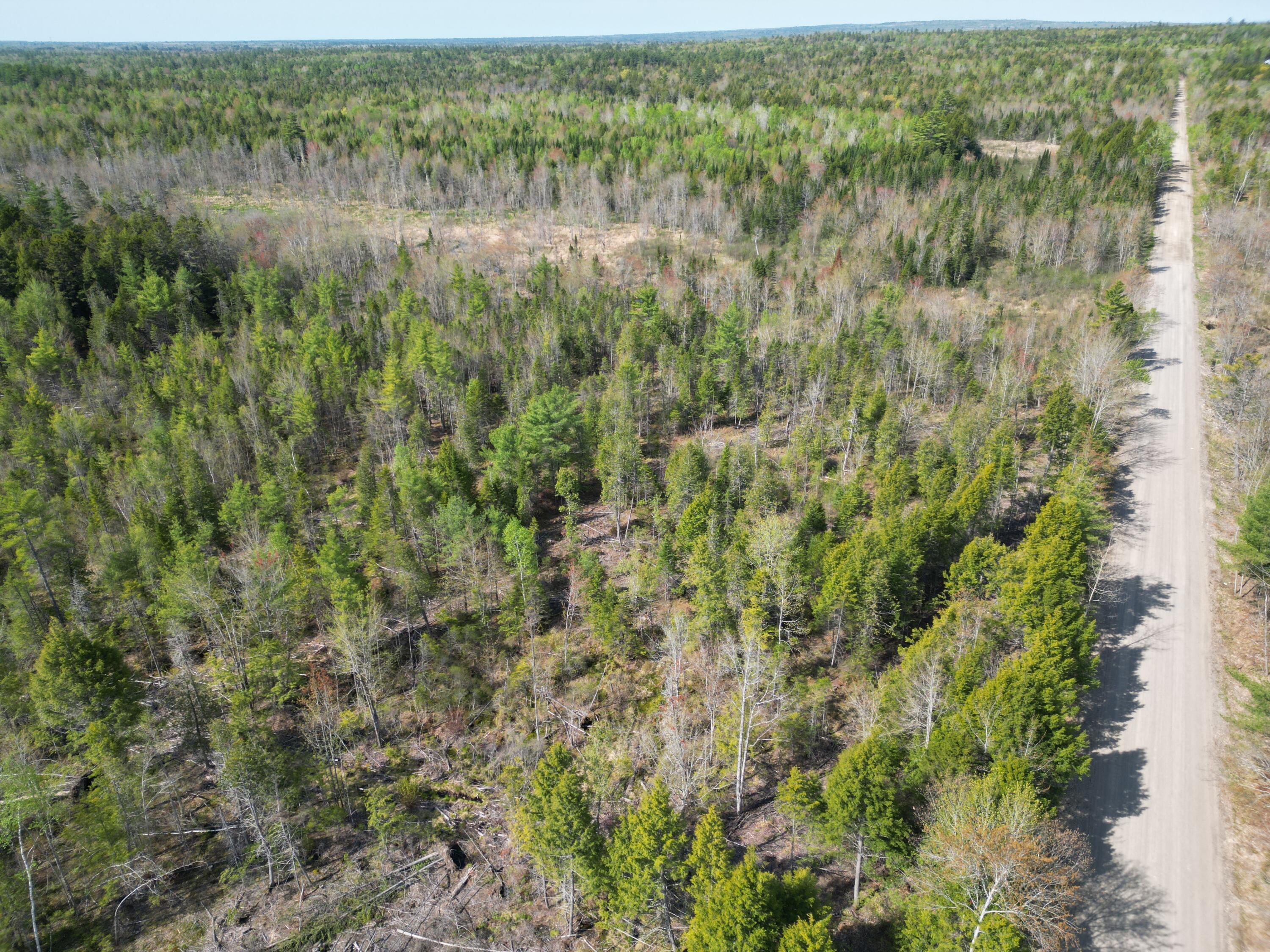 Lot 1 Mattamiscontis Road Howland ME 04448