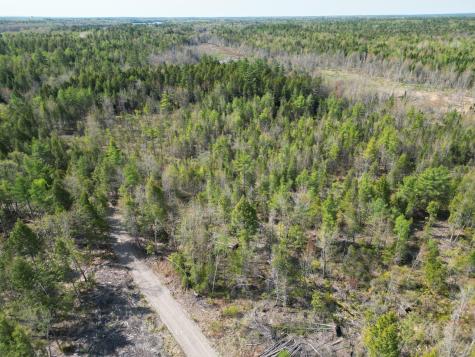 Lot 1 Mattamiscontis Road Howland ME 04448