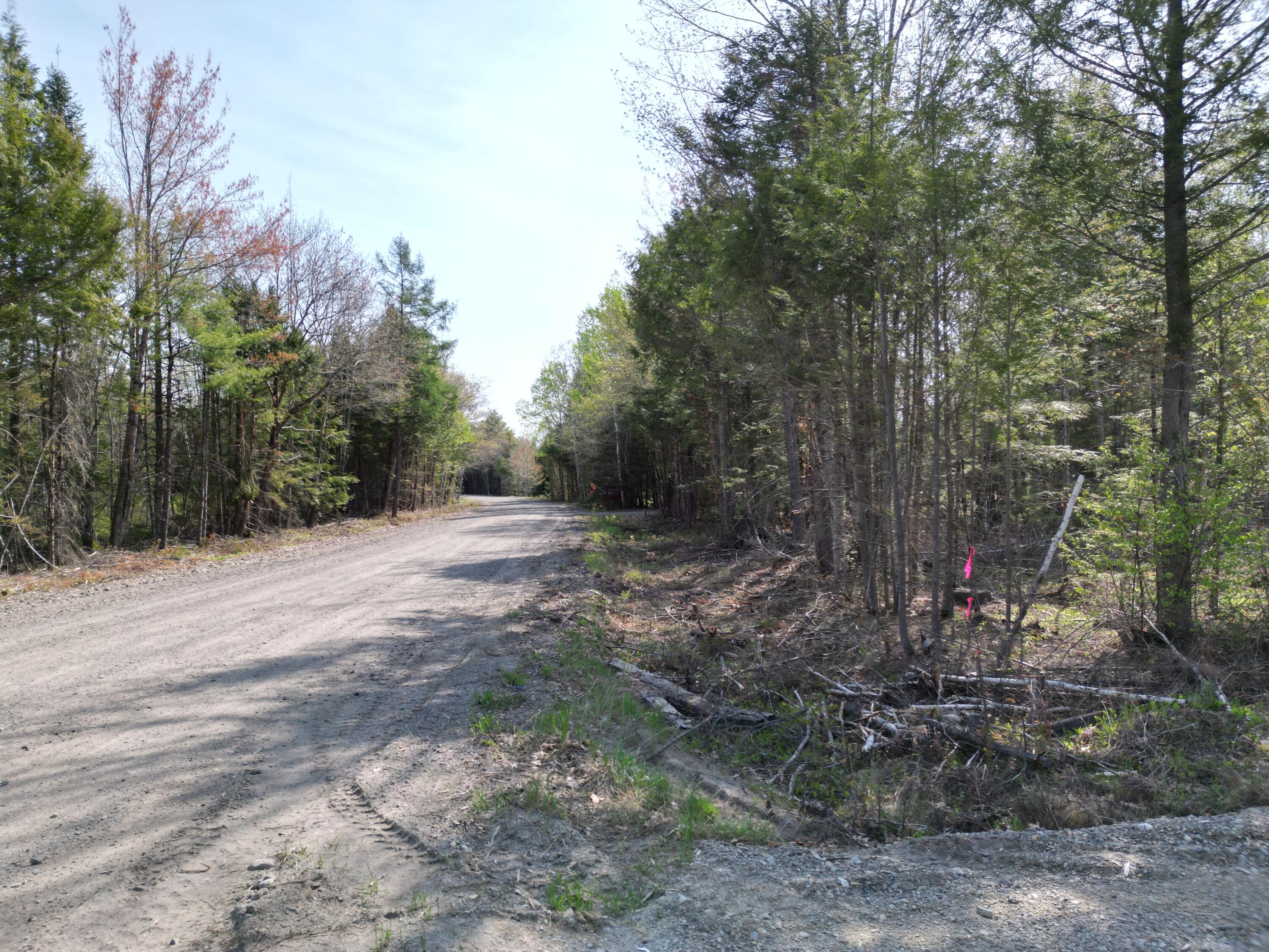 Lot 1 Mattamiscontis Road Howland ME 04448
