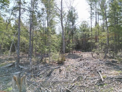 Lot 1 Mattamiscontis Road Howland ME 04448