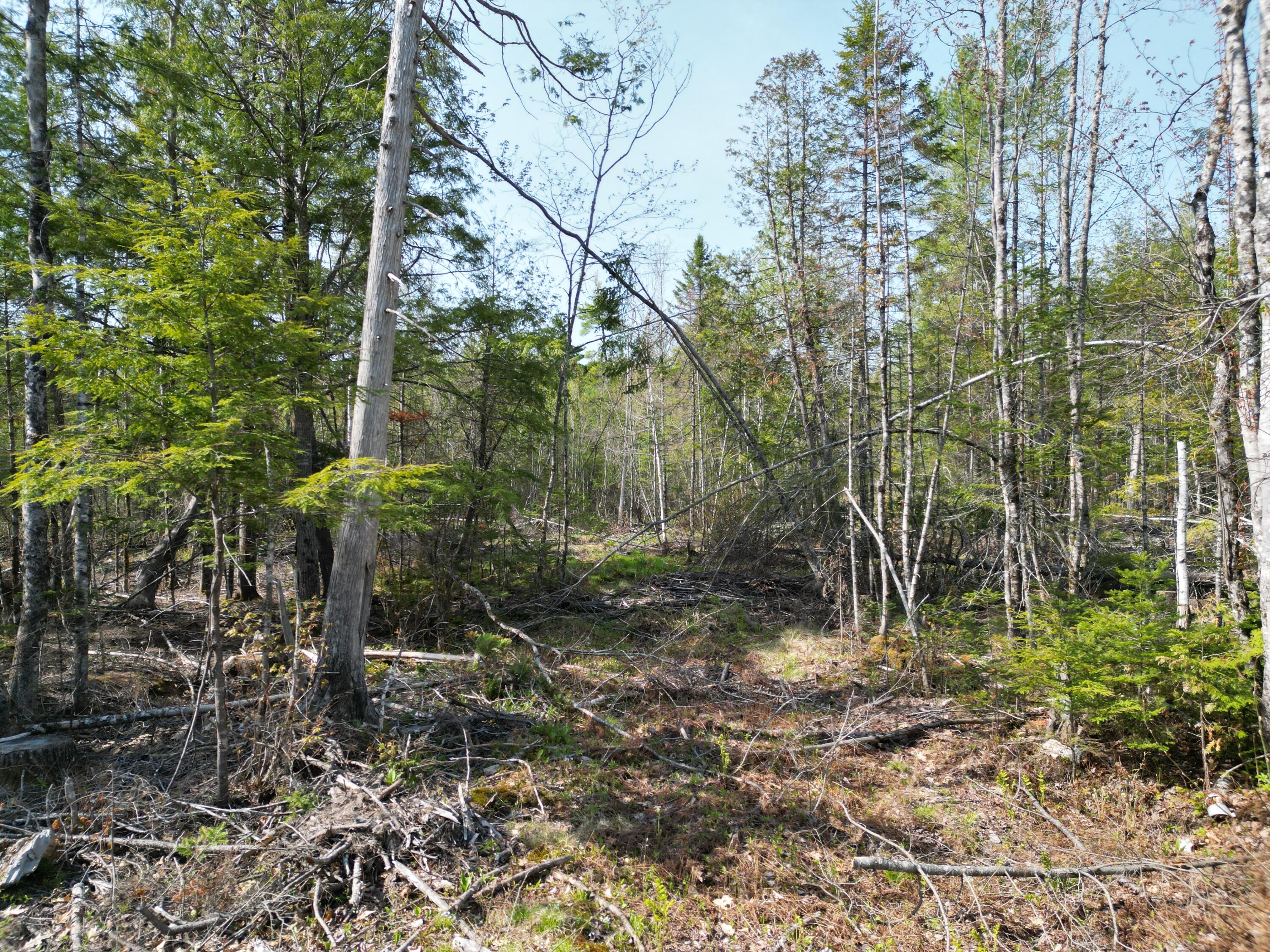 Lot 1 Mattamiscontis Road Howland ME 04448