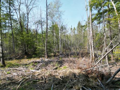 Lot 1 Mattamiscontis Road Howland ME 04448