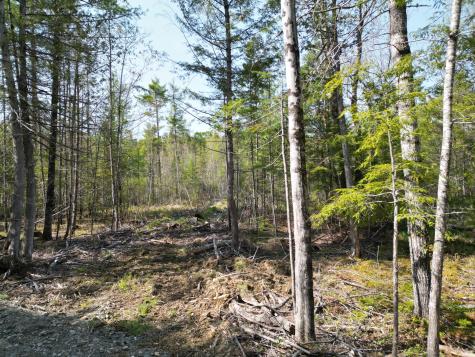 Lot 1 Mattamiscontis Road Howland ME 04448