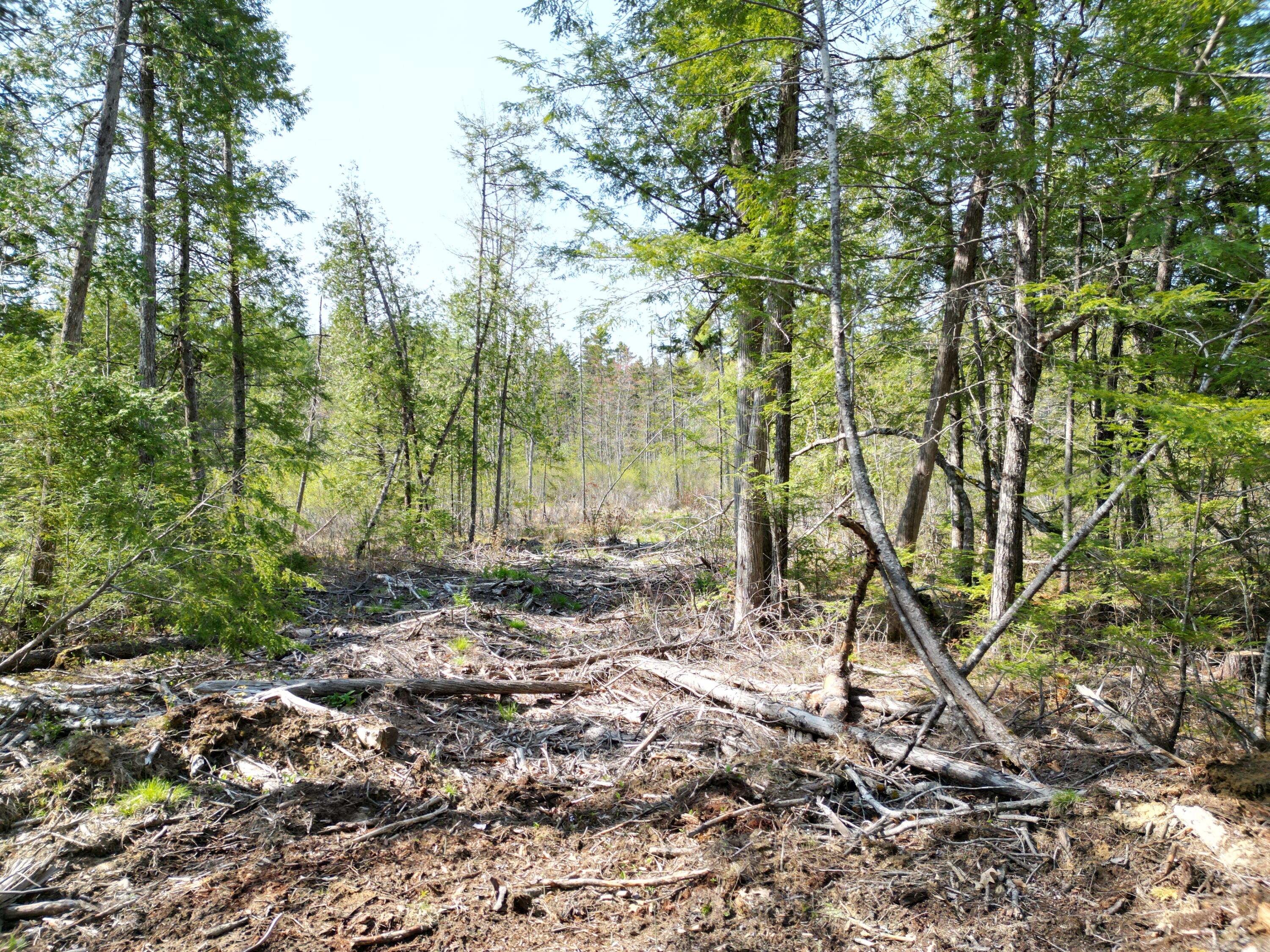 Lot 1 Mattamiscontis Road Howland ME 04448
