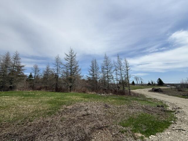 Lot 4 Holmes Bay Farms Road Whiting ME 04691