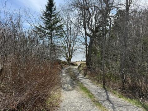 Lot 4 Holmes Bay Farms Road Whiting ME 04691