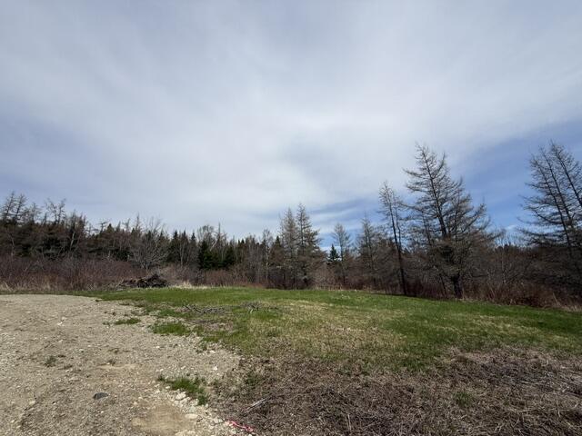 Lot 4 Holmes Bay Farms Road Whiting ME 04691