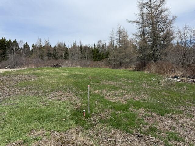 Lot 4 Holmes Bay Farms Road Whiting ME 04691