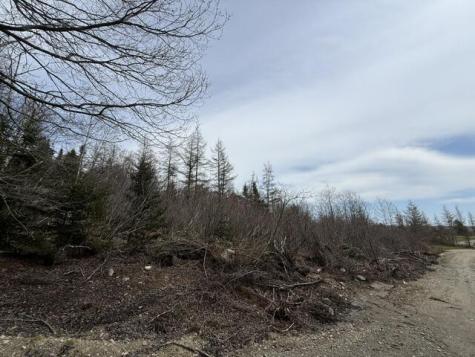 Lot 4 Holmes Bay Farms Road Whiting ME 04691