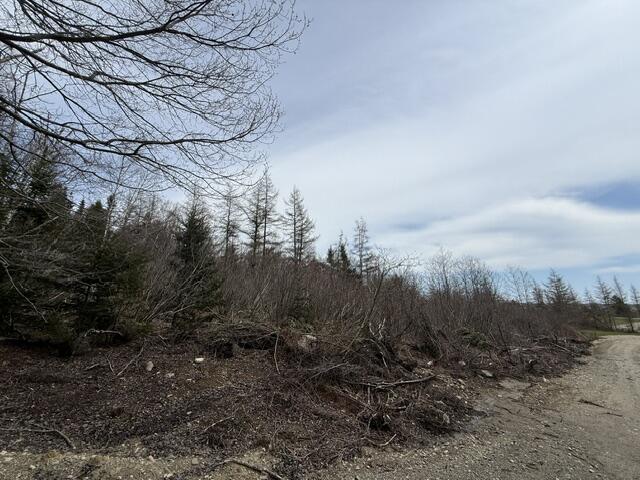 Lot 4 Holmes Bay Farms Road Whiting ME 04691