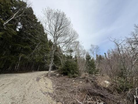Lot 4 Holmes Bay Farms Road Whiting ME 04691