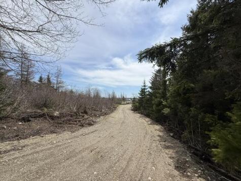 Lot 4 Holmes Bay Farms Road Whiting ME 04691