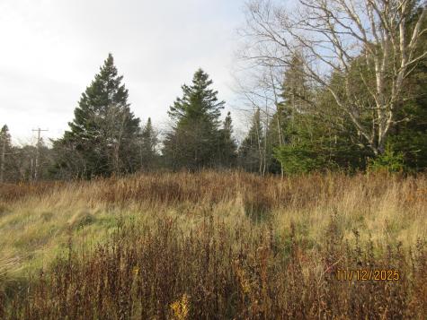 Lot 1 Smalls Point Road Machiasport ME 04655