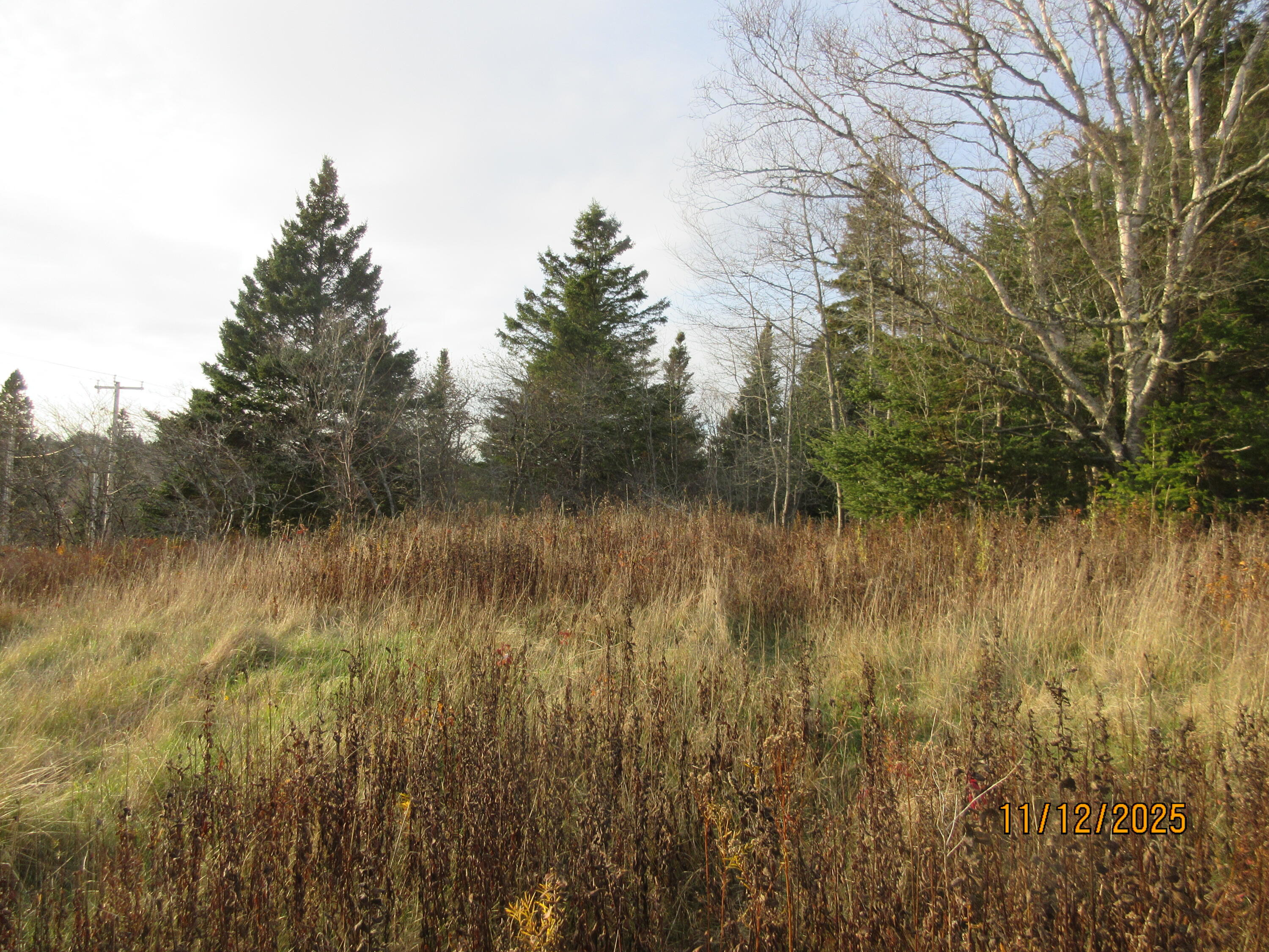 Lot 1 Smalls Point Road Machiasport ME 04655