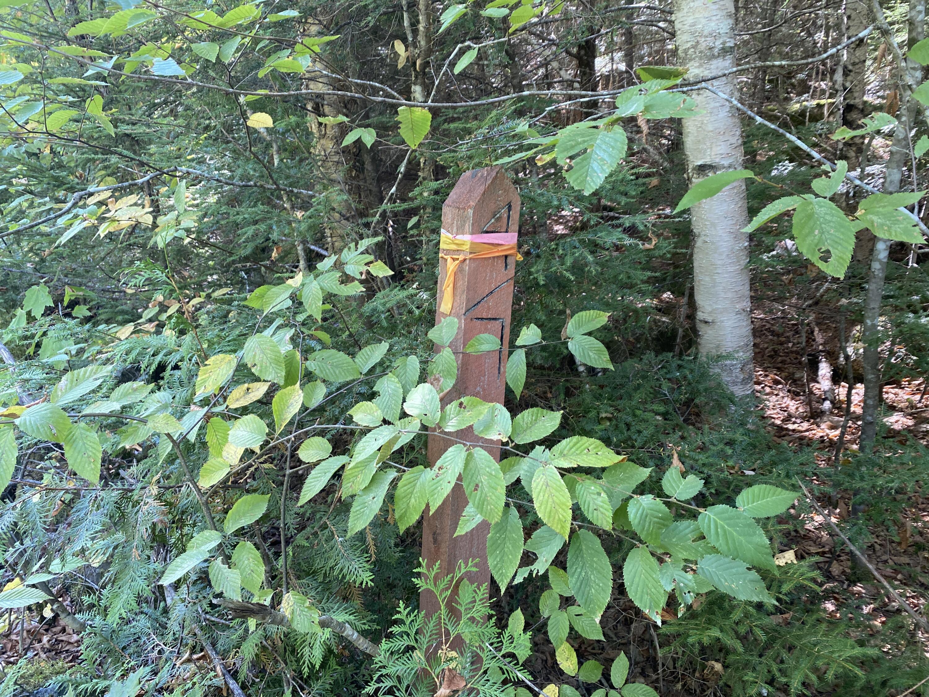 M06-lot18 Sys Road Lakeville ME 04487