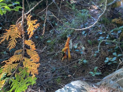 M06-lot18 Sys Road Lakeville ME 04487