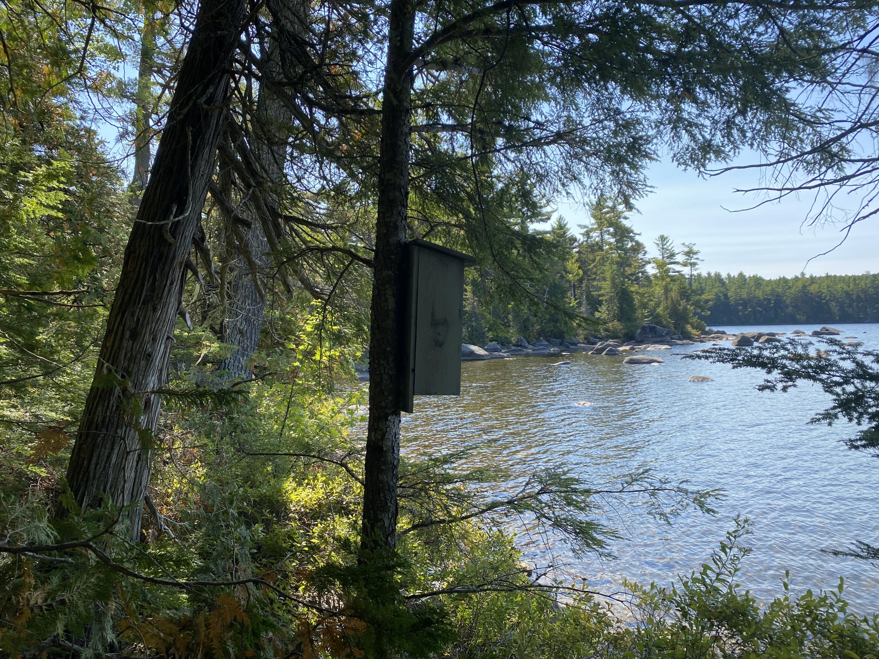 M06-LOT18 Sys Road Lakeville ME 04487