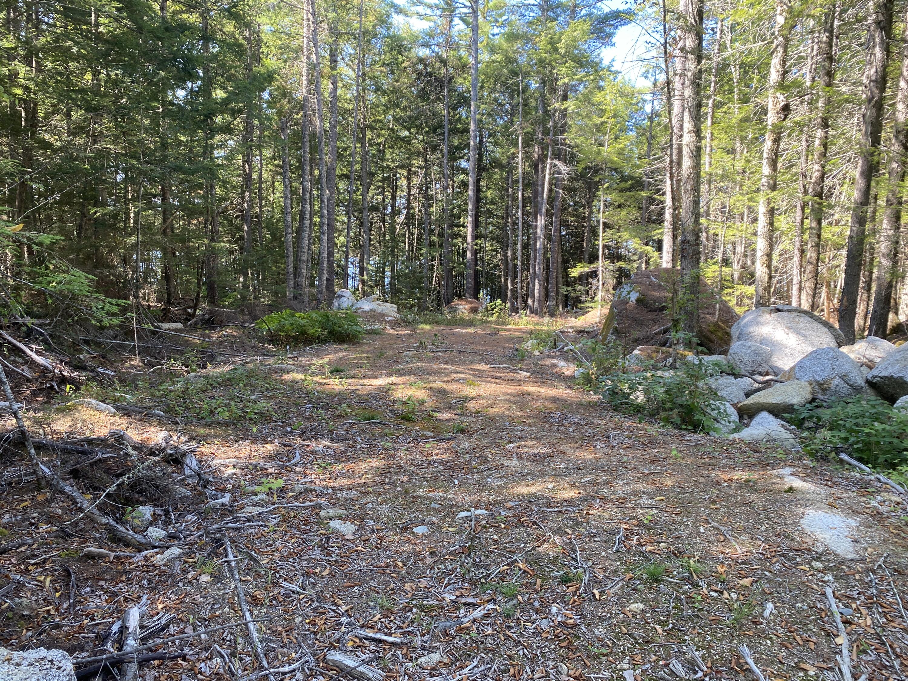 M06-LOT18 Sys Road Lakeville ME 04487