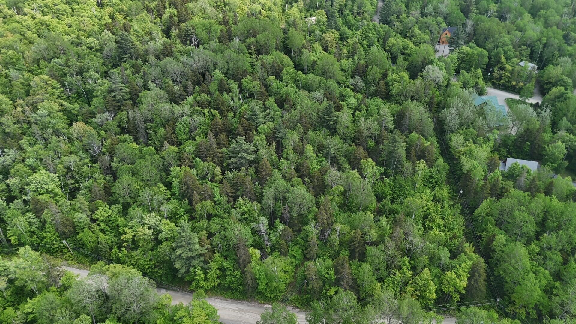 2008 Deer Hill Road Carrabassett Valley ME 04947